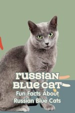 Russian blue cat - blue,
