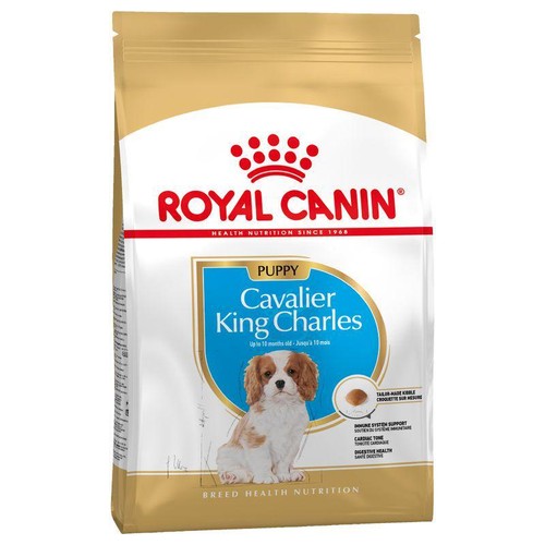 Royal canin cavalier - canin,