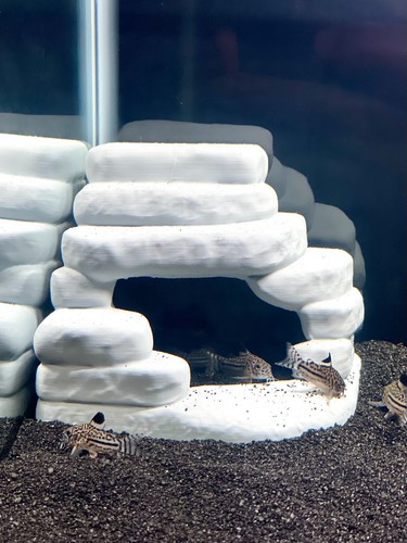 Aquarium rock corner cave - rock,