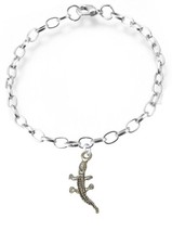 ch78 Alligator Crocodile