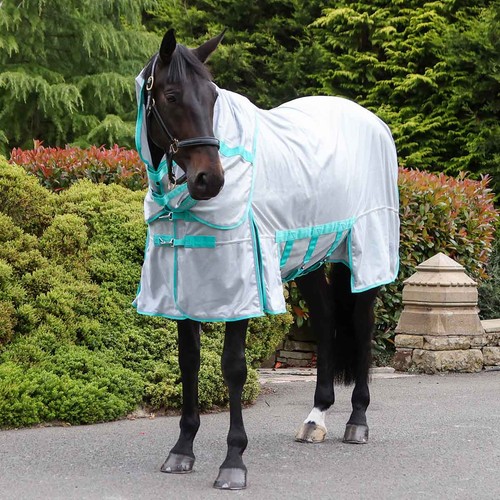 Masta fly rug - masta,