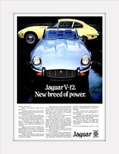 JAGUAR E Type V12 Advert