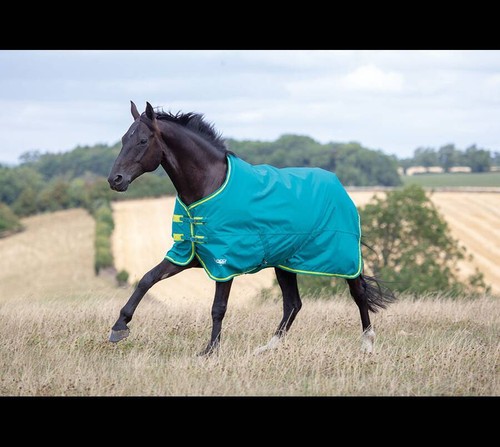 Shires horse turnout - shires,