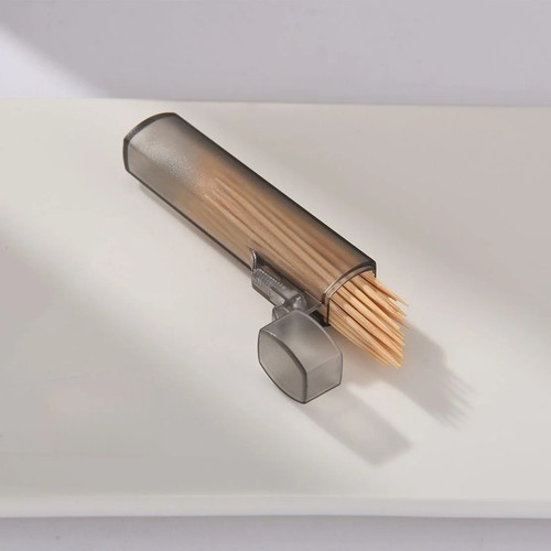 Portable toothpick case holder - toothpick,