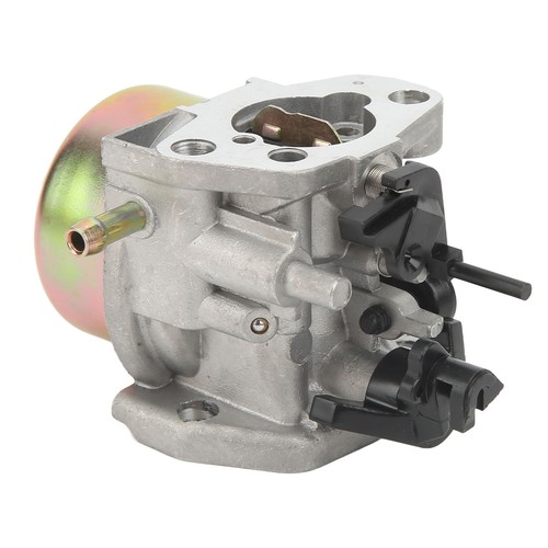 Carburetor for lawn - for,