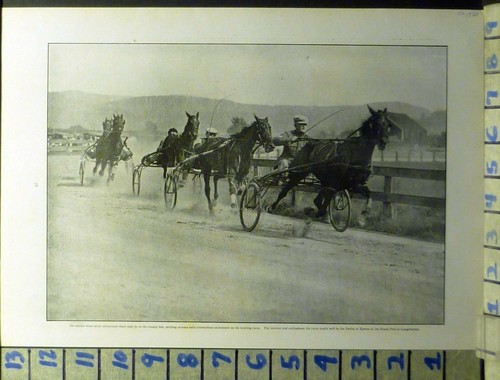 1920 carriage trotting - 1920,
