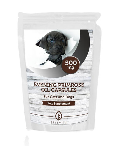Evening primrose oil - primrose, capsules