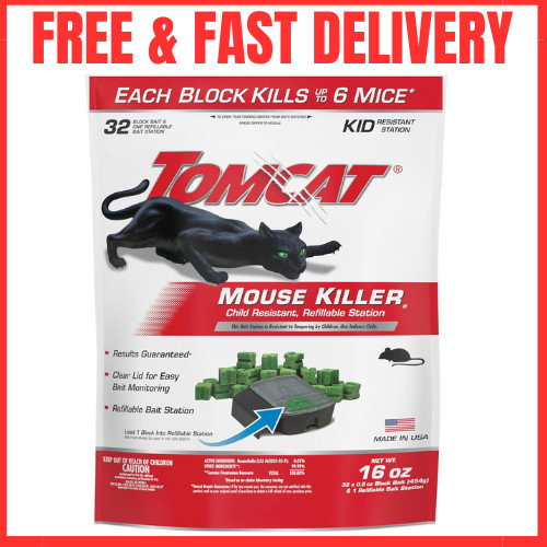 Mouse mice rat - mice,