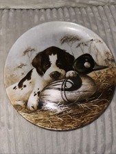 Vintage Dog Tired Springer