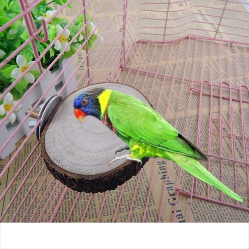 Bird cage accessories - cage,