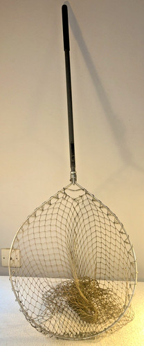 Sharpes aberdeen trout - of,