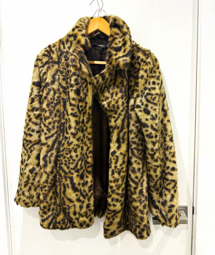Petites leopard animal - leopard,