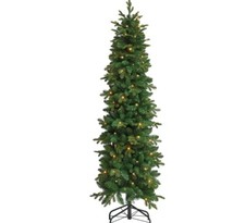 6ft canterbury pre - 6ft,