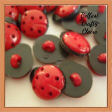 10 or 25- Ladybird - Lady Bug