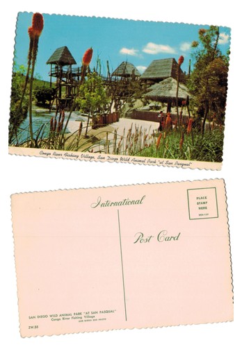 Postcard congo river fishing - -,