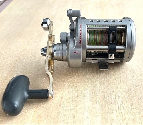 Daiwa saltist lw30ha double - daiwa,
