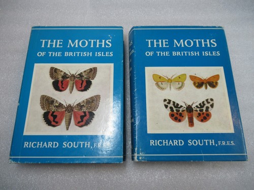 The moths british - the,