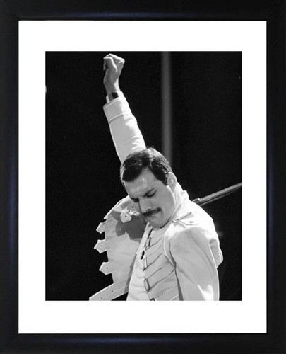 Freddie mercury framed photo - freddie,