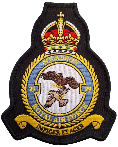 Squadron royal air force - 29,