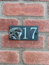 Personalised Hedge Hog House