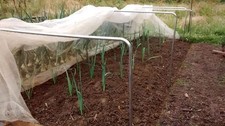 Square garden hoops - square,