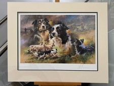 Mick Cawston - Border Collies