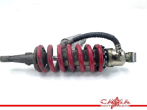 Rear shock absorber triumph - rear,