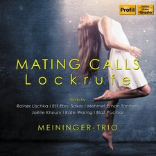 New Tricks Ford Old Dogs CD - Like New