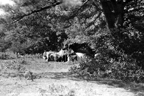 Dzz social history - dzz-83,