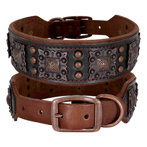 Spiked dog collar leather - dog,