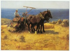 Harvesting, Lizard Cornwall