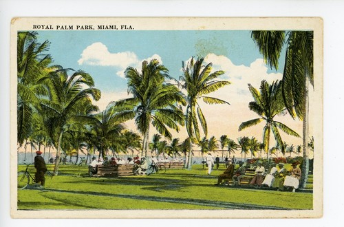 Royal palm park - rare, antique