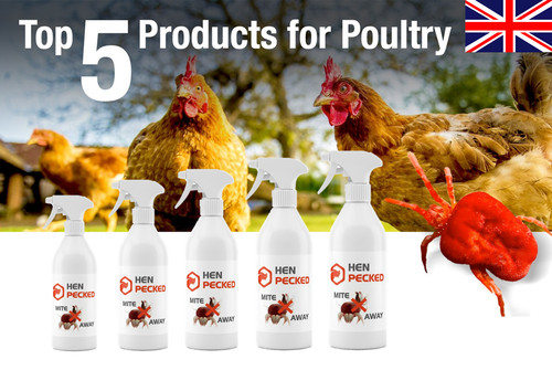 Hen pecked red mite killer - mite,