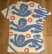 England football Three Lions