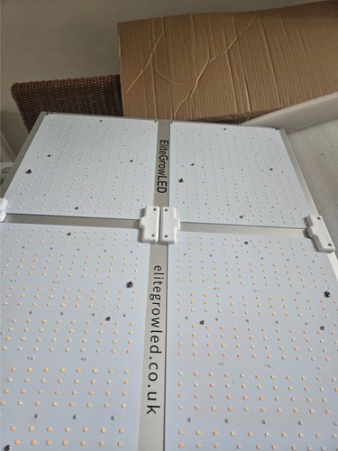 Grow tent kit hydroponics - tent,