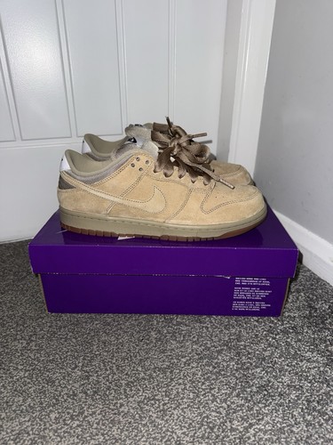 Nike dunk low - nike, pro