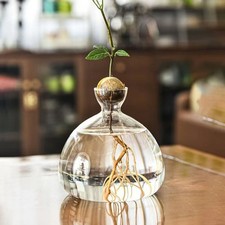 Acorn Vase Seed Holder Jar