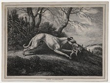 William Samuel Howitt (c.1765-1822) - 19th Century Engraving, The Lurcher