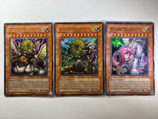 3 x Sphinx Collection