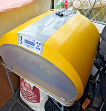 incubators for hatching eggs with separate humidifier