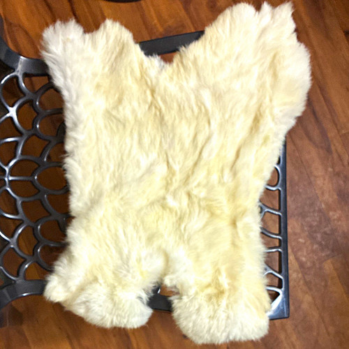 White rabbit hide animal skin - rabbit,