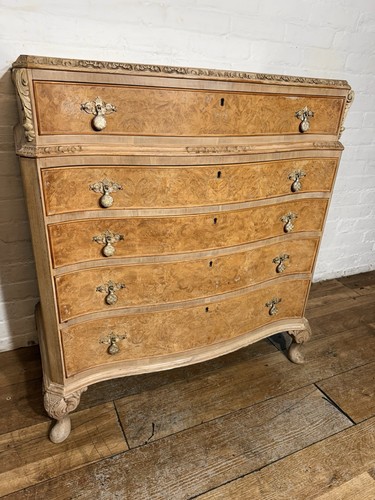 Burr walnut chest drawers - chest, of