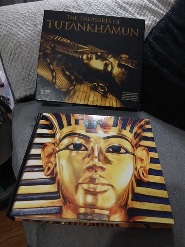The treasures tutankhamun - the,