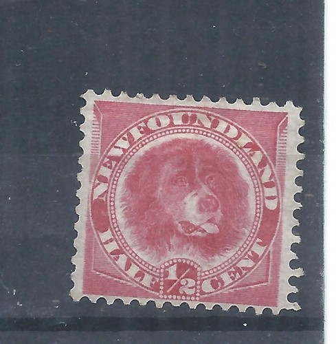 Newfoundland stamps 1891887 - newfoundland, stamps.