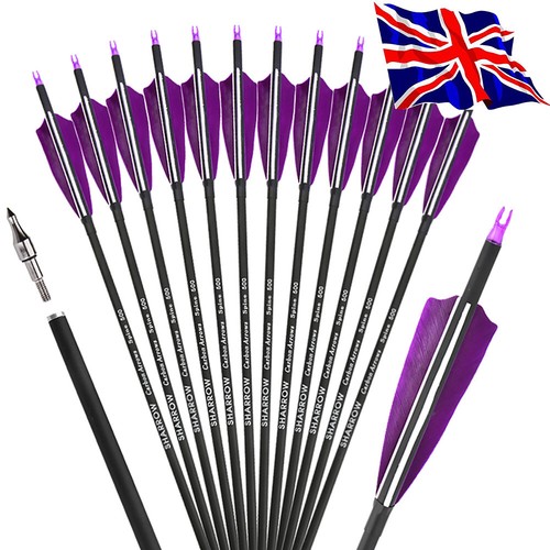 12x archery carbon arrows - 30",