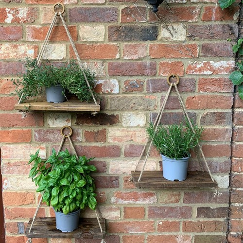 Set outdoor herb - of, 3