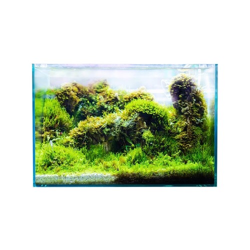 Swell glass aquarium 35cm - 35cm, –