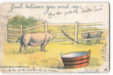 1905 Pigs artwork by J.S. Oglivie Pub, Co., Postcard VTG ME9.
