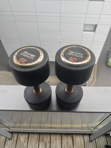 14kg dumbbell pair - 14kg, cast