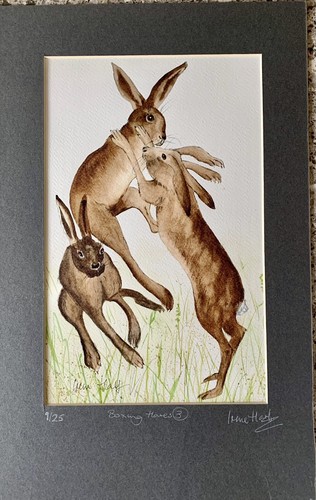 Limited edition mounted print - limited,